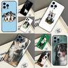Funny Bernese Mountain Dog Case For OnePlus 10 Pro 10T 8T 13T 15 13 12 11 15R 13R 12R Nord 5 CE 4 2 3 Lite N20 N30 Cover