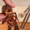 Professional Lobster Scissor Stainless Steel Shrimp Peeler Kitchen Gadget Crayfish Scissor  Home