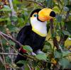 Toucan Stuffed Animal Stuffed Animal Bird Stuffed Animal Toucan Foreign Stuffed Animal Tobar Animigos Tobar Animigos