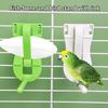 Bird Veggie Clip Holder Easy Install Chew Toy Parrot Cage Accessories Carrot Leafy Greens Feeder Durable Plastic Bird Supplies