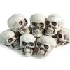 Plastic Mini Skulls for Repeat Use, 10-Piece Halloween Decoration Set That Rinses with Water for Tables, Shelves, and Seasonal Displays