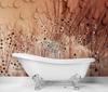 Wallpaper Dandelion Dewdrops Brown