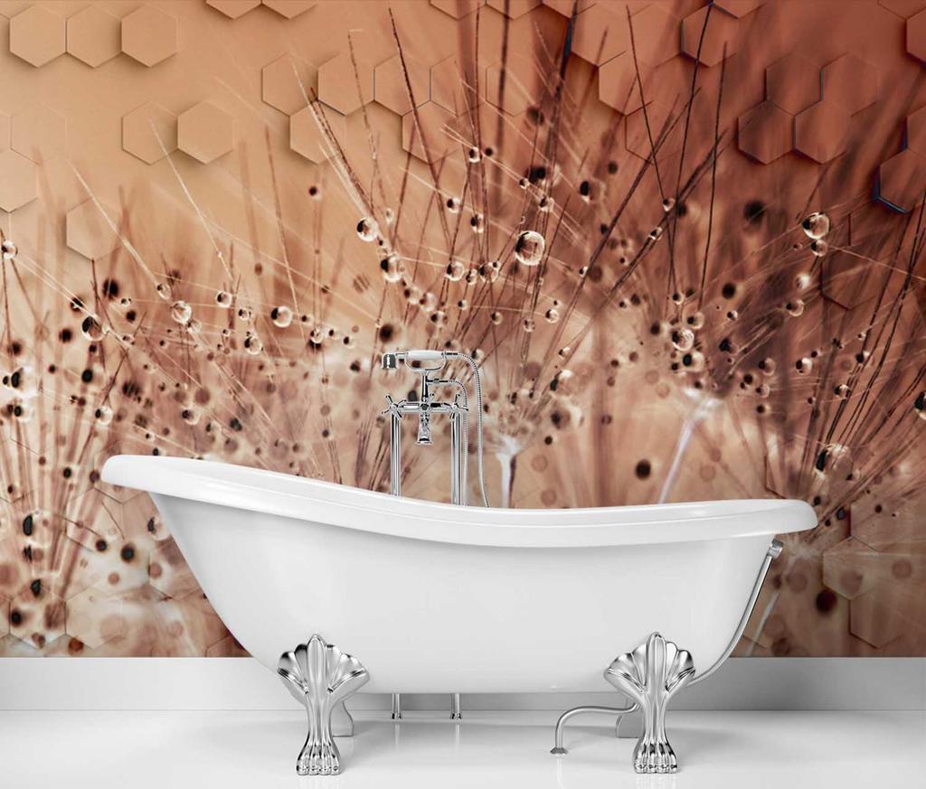 Wallpaper Dandelion Dewdrops Brown