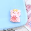 Handmade Resin Pig Hair Clip and Clog Decoration Set