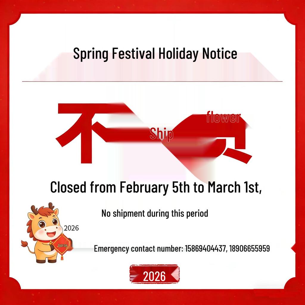 Zinc Alloy Combination Padlock