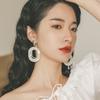 New Korean Geometric Exaggerated Earrings, Simple Personality, European and American Fashion Silver Needle Stud Earrings, Versatile Earrings