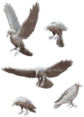 Mantis Miniature Tier-Set 60 Krähe Resin-Bausatz Man35195 1/35 (Tier)