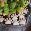 20pcs Landscaping Flowerpot Decoration Resin Cat Claw Ornaments Cat Paw Stepping Stones  Pathways