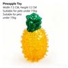 Elastic Surface Cooling Chew Toy Multi Shades Fruit Chew Toy Squeaky Dog Toy  Puppy Teething