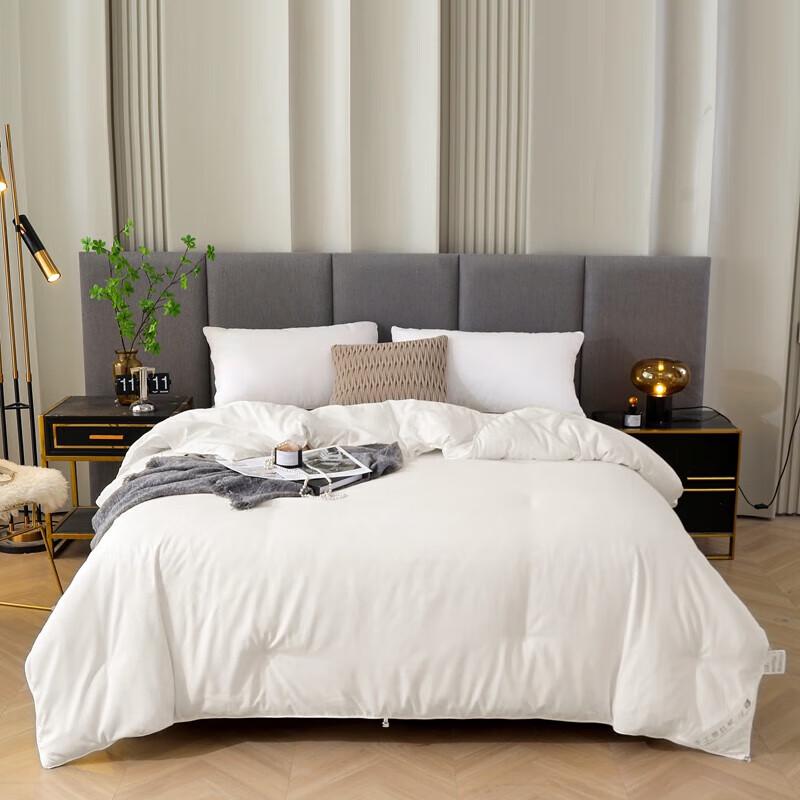 Muxinzi Brushed Silk Summer Quilt