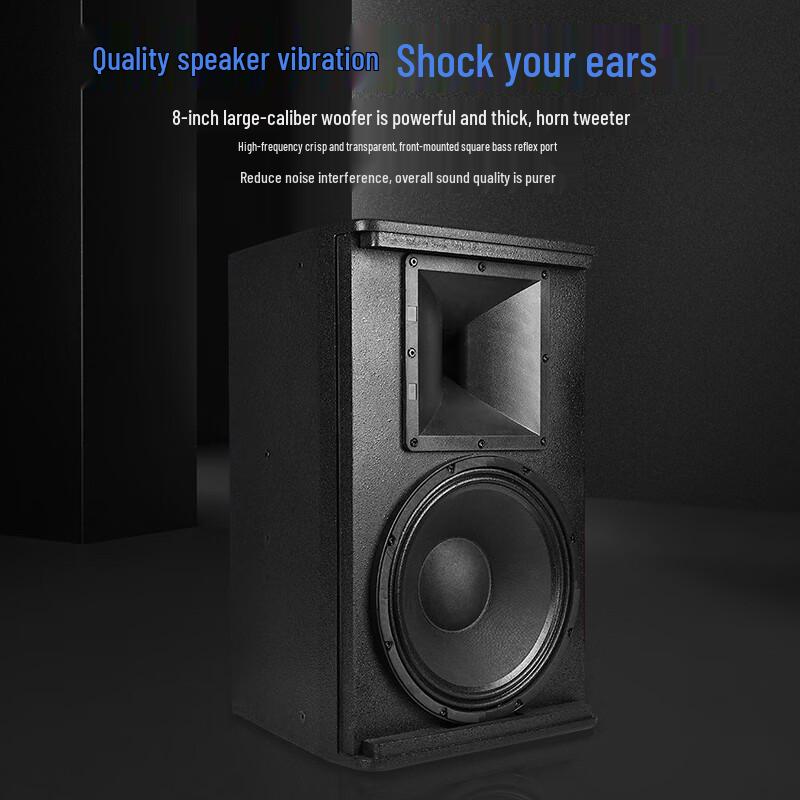 Weishu Professional Passive Full-Range Conference & PA Speaker (CN Version)