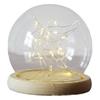 Glass Dome Cloche Bell Clear with Wood Base Display Case Mini for Plants