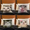 Cat Memes Funny Meme Print Polyester Pillow Case for Valentine Gift Home Sofa Cushion Cover Decoration Custom