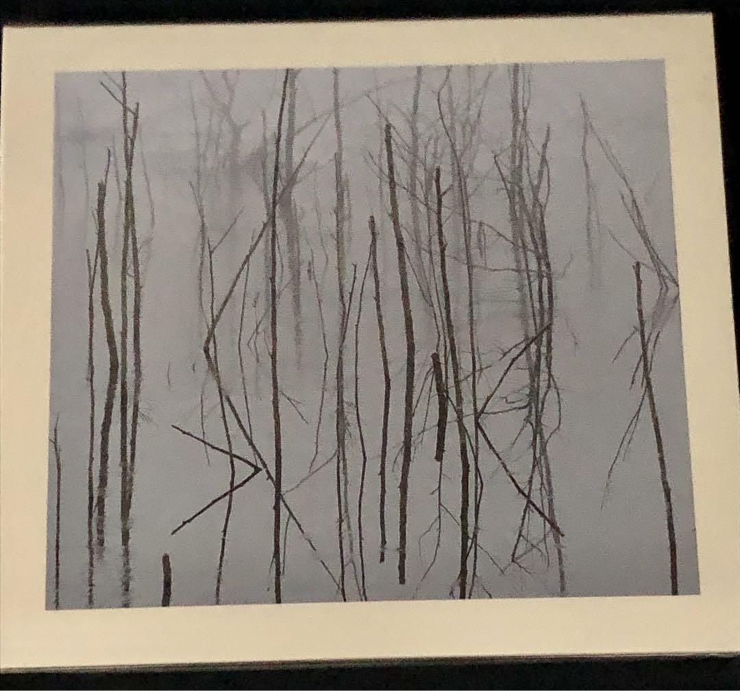

[USED] Olhava / Frozen Bloom Atmospheric black metal!