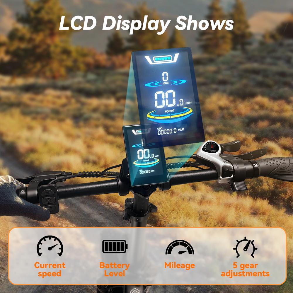 Bicicletă Electrică Adult 1000W Masculin 48 v13ahBaterie E-Mountain ebike , 20 inch 4.0 Anvelopă Lată Bicicletă Electrică Masculină