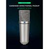 Metal condenser microphone Laptop/Computer Professional microphone Recording Studio Voice game broadcaster Streaming media TLM 1