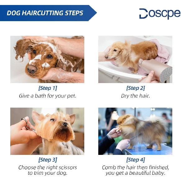 6 In 1 Professional Dog Grooming Scissors Set Pet Hair Cutting Shears Kit, Stainless Steel with Safe Rounded Tips for Dog Cat Other Animals, Right