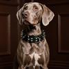 Adjustable PU Leather Pet Necklace Widen Rivets Pet Collar Spiked Dog Collars  Outdoor Dog Walking