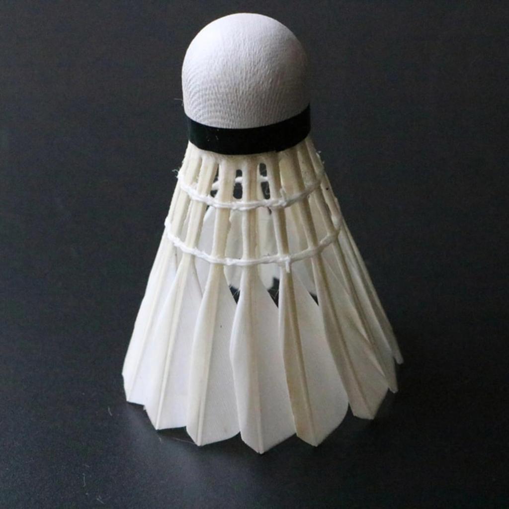 Itisyou Badminton Fitness Badminton Balls for Outdoor Pack of 12 Shuttlecocks, Badminton, High-Speed Practice, Use,