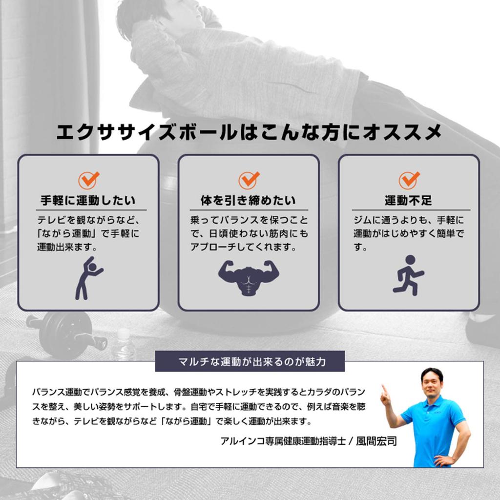 ALINCO Exercise Ball 75cm WBN075