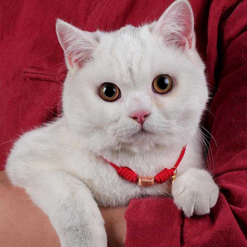 Handmade Red Rope Pet Necklace: Attract Wealth & Fortune for Cats & Dogs