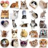 1 Pack of 50pcs Cat Stickers, DIY Decorative Stickers, Pvc Waterproof Decorations, Creative Stickers for Cell Phones, Tablets, Computers, Cases