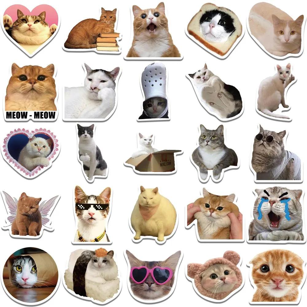 1 Pack of 50pcs Cat Stickers, DIY Decorative Stickers, Pvc Waterproof Decorations, Creative Stickers for Cell Phones, Tablets, Computers, Cases