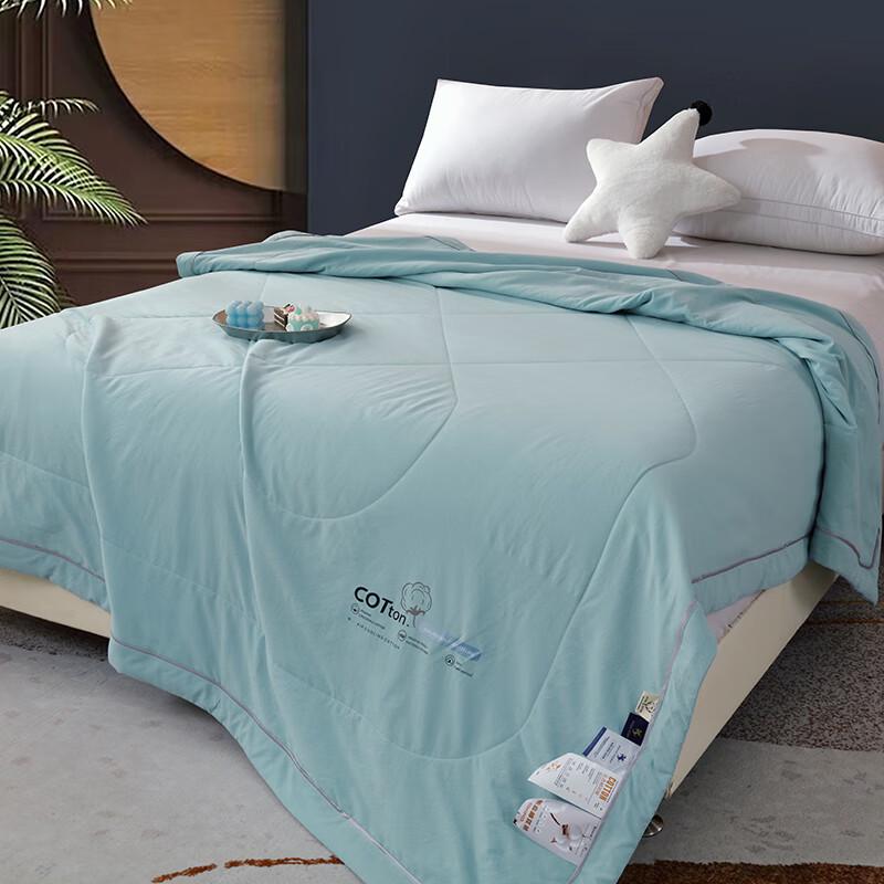 Paul Peter Eco Bamboo Cotton Summer Quilt