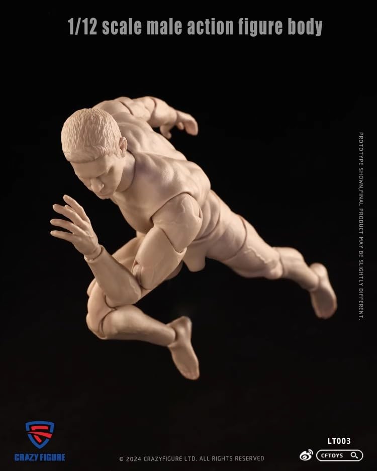Scale Action Figure CRAZY FIGURE LT003 Male Movable Action Jointed Body and Head [TOYBARJAPAN] 1/12