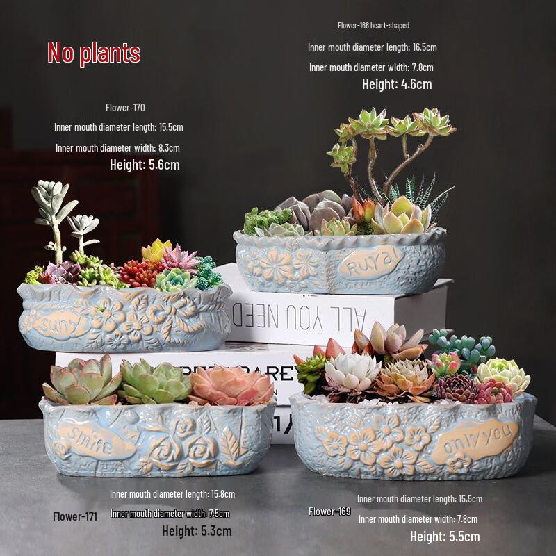 Большой керамический горшок для суккулентов