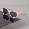 Sexy Cat Eye Sonnenbrille Damen Herren Schwarze Sonnenbrille Coole Designer Brillen Luxus Bunt Kleiner Rahmen Spiegel Marke