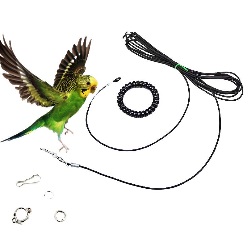 Ultralight Elastic Parrot Leg Leash for Cockatiels, Monk Parrots, and Peony Tigers with Safe Buckle