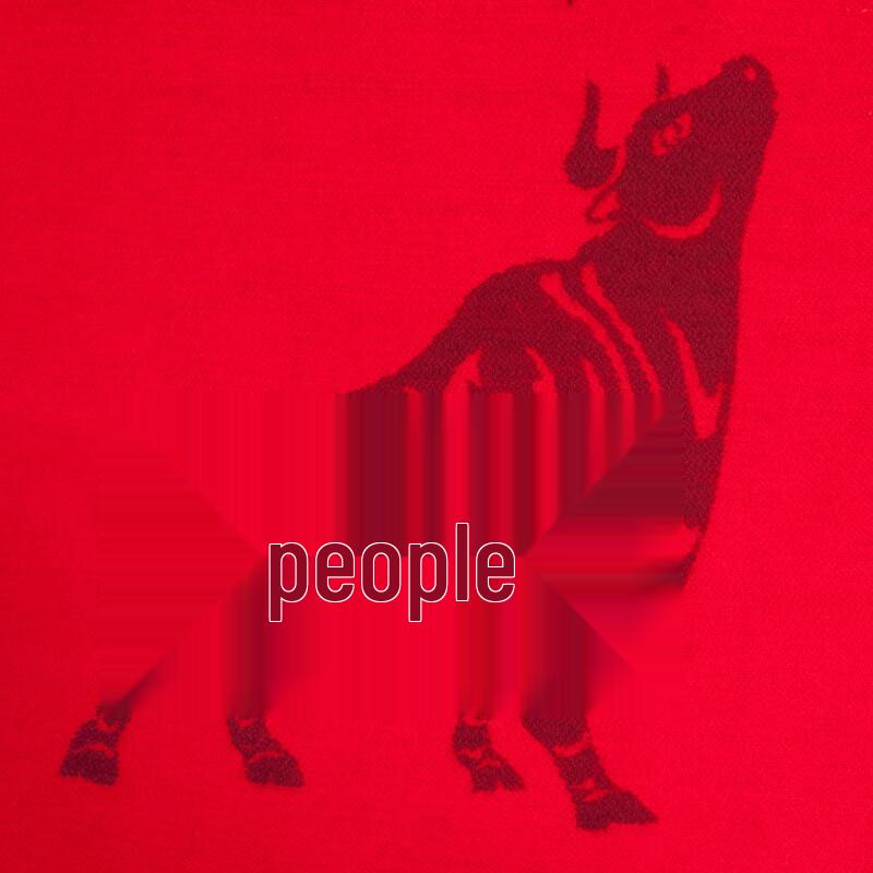 Aisi Yalan Red Modal Scarf