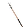 Nail Art Brush Double Headed Painting Transparent Brown Nail Liner Brushes for Manicure Salon
