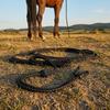 Horse Training Rope with Dust Collection Bag Simple to Handle Adjustable