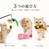 ZAYLUMO Cat Toy Set of 3 Small Birds with Catnip Gall Replacement Feathers and Bells Included Powder,