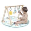 Ingenuity Wooden Toy Bar Play Mat Sun Valley 0 Months Activity Gym Baby Gym Baby Mat Play Gym 13122 &