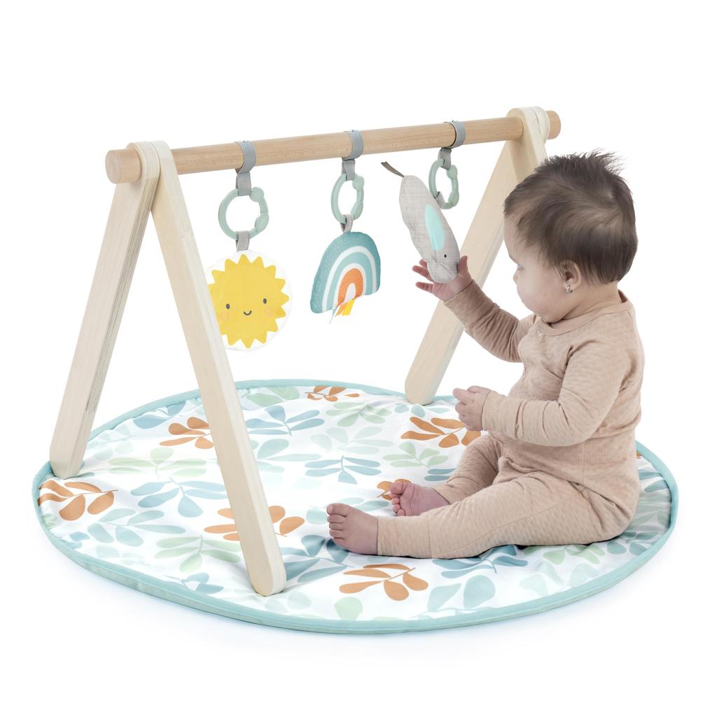 Ingenuity Wooden Toy Bar Play Mat Sun Valley 0 Months Activity Gym Baby Gym Baby Mat Play Gym 13122 &