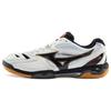 Pro Stitching Shock Absorption Non-Slip Low-Top Badminton Shoes Unisex Shoes White Black 71GA170009