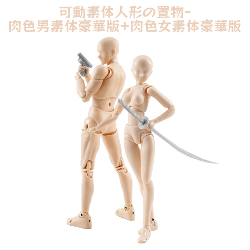 AAGWW Sketch with Model Muscular Doll Painting Doll Display 1 Male Doll 1 Female Doll, Articulated, Stand, Poseable, Doll, Body, Model, Tool, (Product