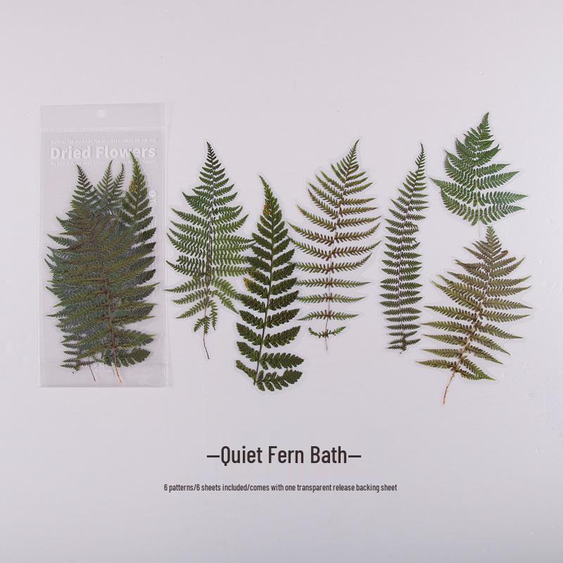 

Наклейки-дневник больших растений из цветочного магазина выходного дня - 6 листов, 8 дизайнов