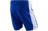 Nike Casual Shorts Men's Blue Moderate 703209-463