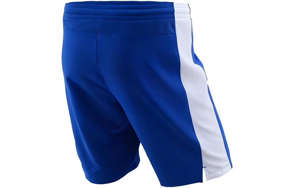 Nike Casual Shorts Men's Blue Moderate 703209-463