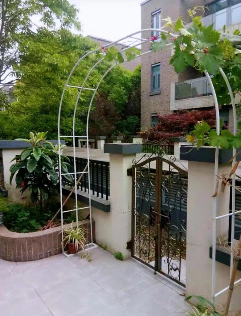Rust-Proof Arch Trellis: Reinforced Climbing Vine Stand for Indoor/Outdoor Gardens and Courtyards.