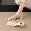 Sandals women's 2025 new summer fairy style beautiful fashion with skirt thick heel Korean word high heels