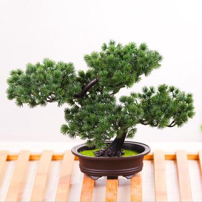 Simulation lebensechte DIY einfache Topfpflanze Ornament Kiefer Baum dekorative Bonsai