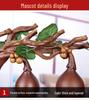 Prosperous Double Fortune Gourd Ornament for Living Room or Entrance Decoration