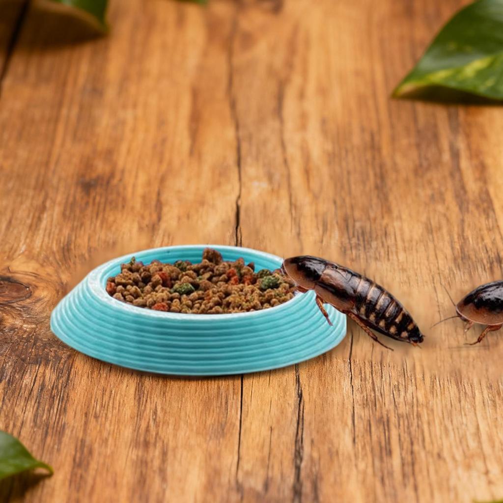 Isopod Feeder 12 Pieces Non-Slip Enclosures Feeding Tray Dubia Roaches Feeder Bowls For Springtails Millipedes Dwarf