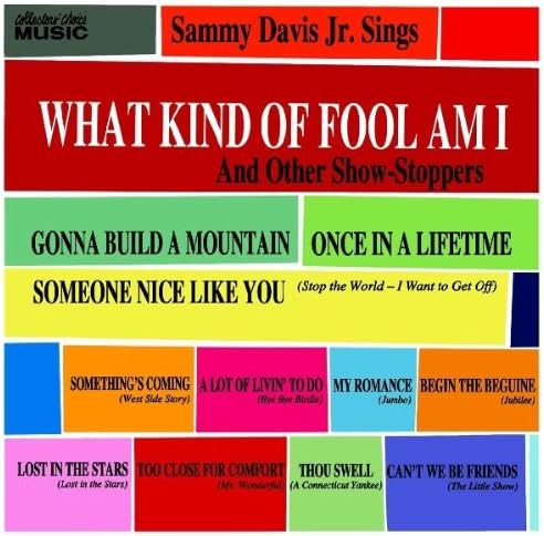 

CD DAVIS, SAMMY JR. - What Kind of Fool Am I & Other Show CCM447 Japan Jazz Used