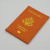Vibrant Candy Color Passport Travel Organizer Holder Card Case Protector American Cover